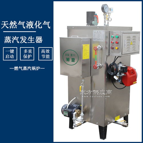 食品加工專用30kg天然氣蒸汽發(fā)生器小型燃氣蒸汽鍋爐圖片