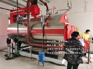 高效能源解決方案 4噸燃?xì)庹羝仩t與反應(yīng)釜夾層鍋的配套應(yīng)用